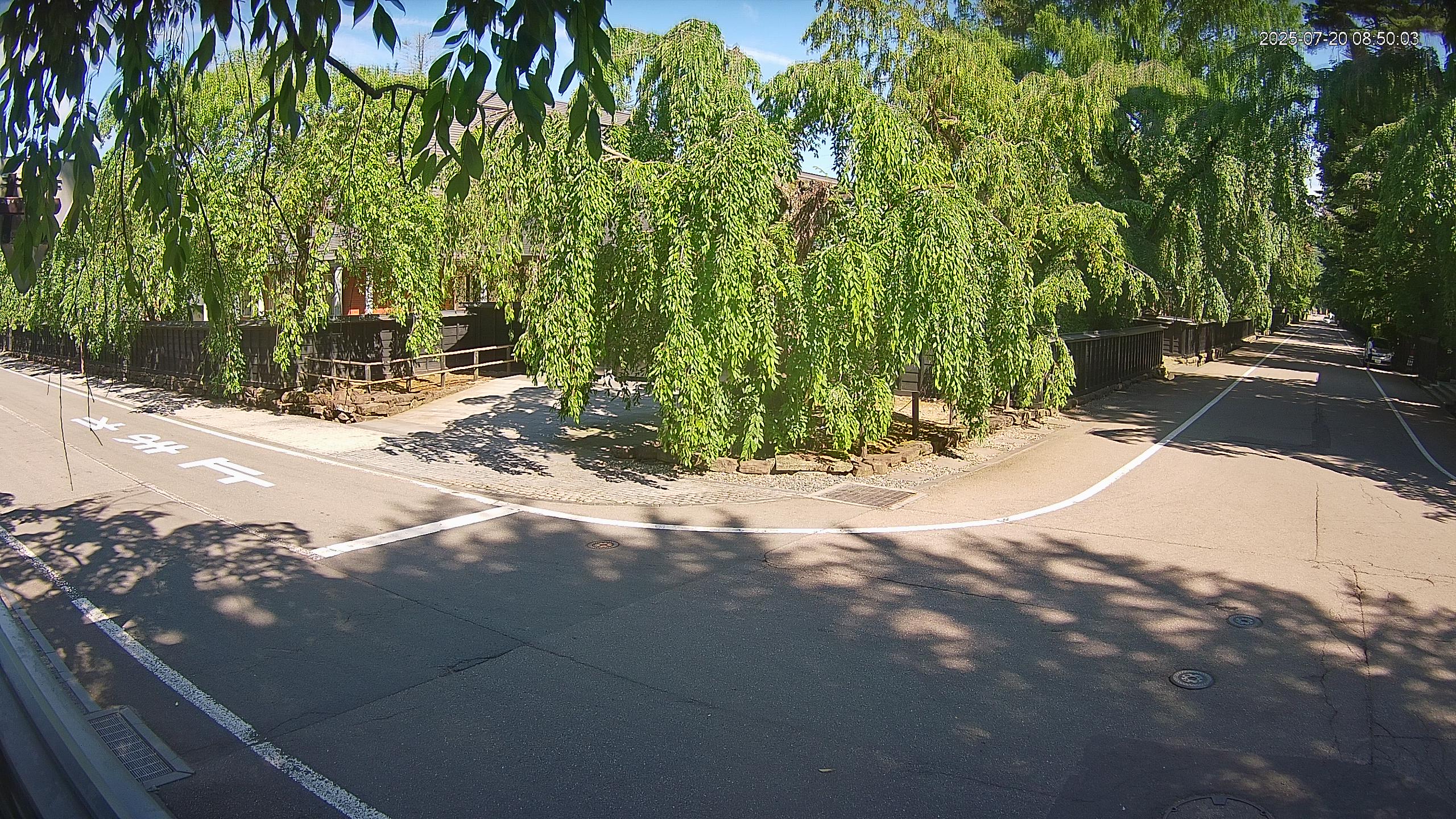 area1